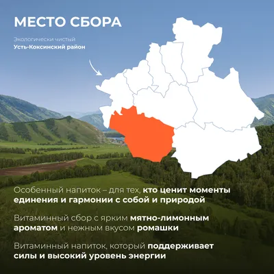HT вП_Ромашка, зизифора, лимон, лемонграсс_5