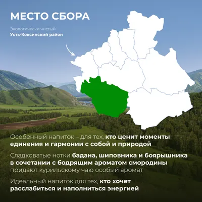 HT вП_Яблоко, шиповник, лист смородины, курильский чай, боярышник, бадан_5