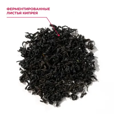 ИЧ вП_Дыхание Белухи_3