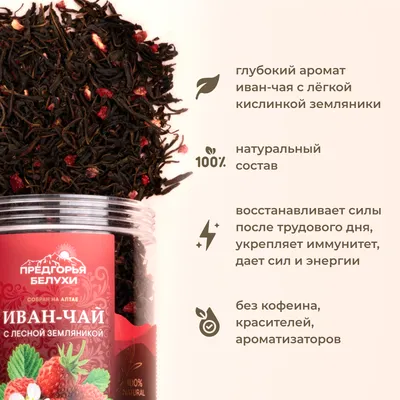Иван-чай_с лесной земляникой_4