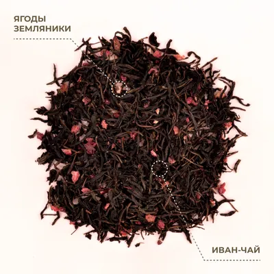 Иван-чай_с лесной земляникой_3