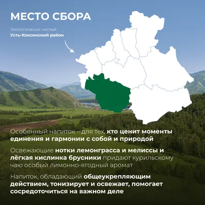 КЧ вП_лемонграсс, мелисса, ягоды брусники_5