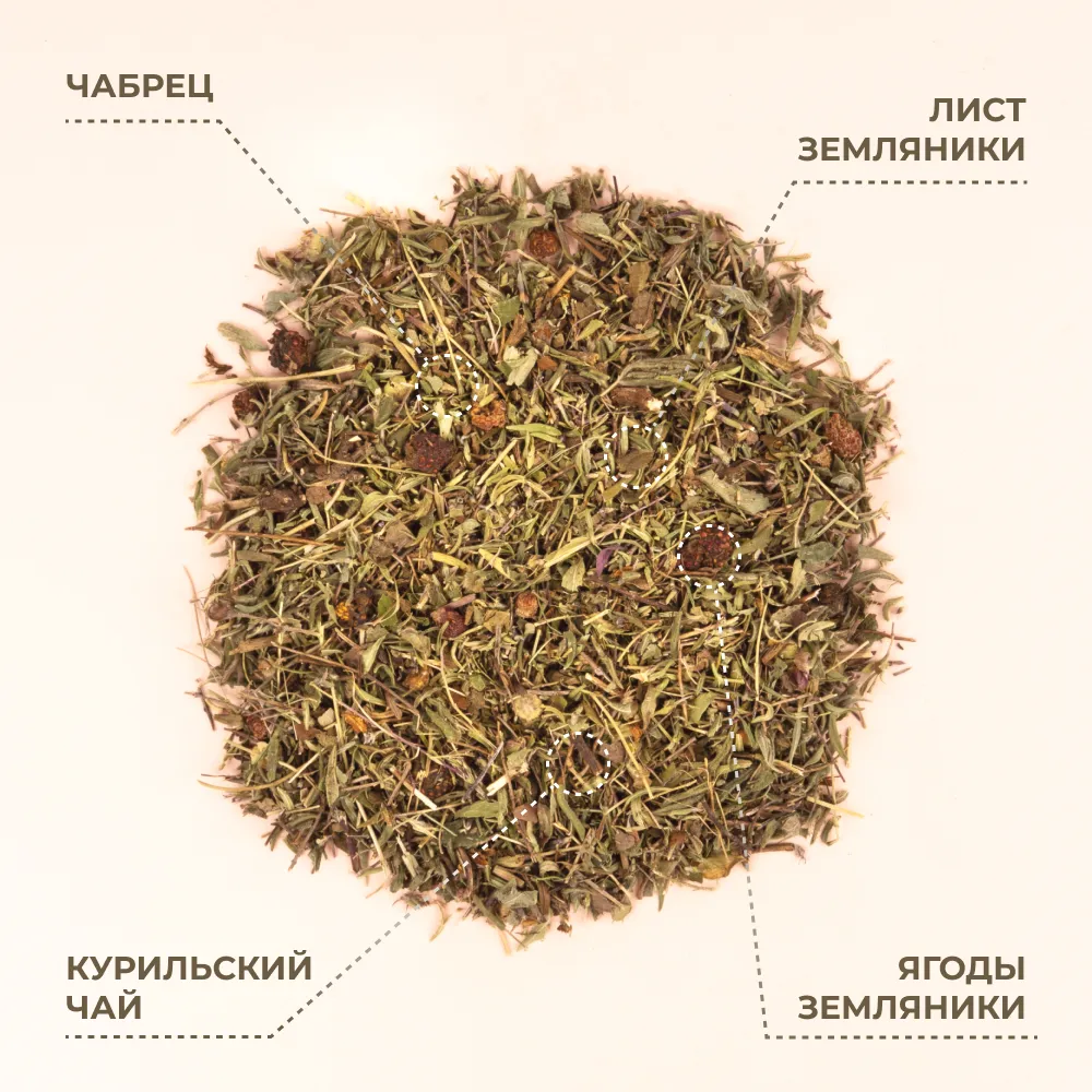 Курильский_чабрец, лист земляники, ягоды земляники_3