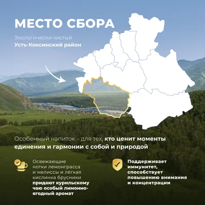 Курильский_лемонграсс, мелисса, брусника_9