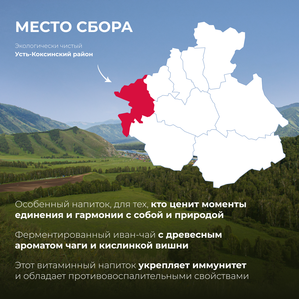 Чай Иван-чай ферментированный с чагой и ягодами вишни Предгорья Белухи, 100 гр