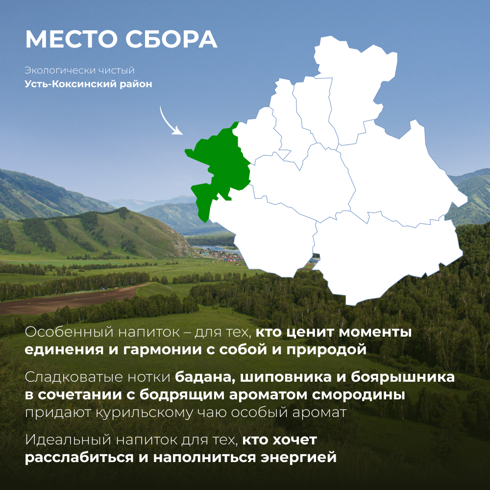 Напиток чайный Яблоко, бадан, шиповник, смородина, курильский, боярышник (пирамидки) 1,5 гр*18
