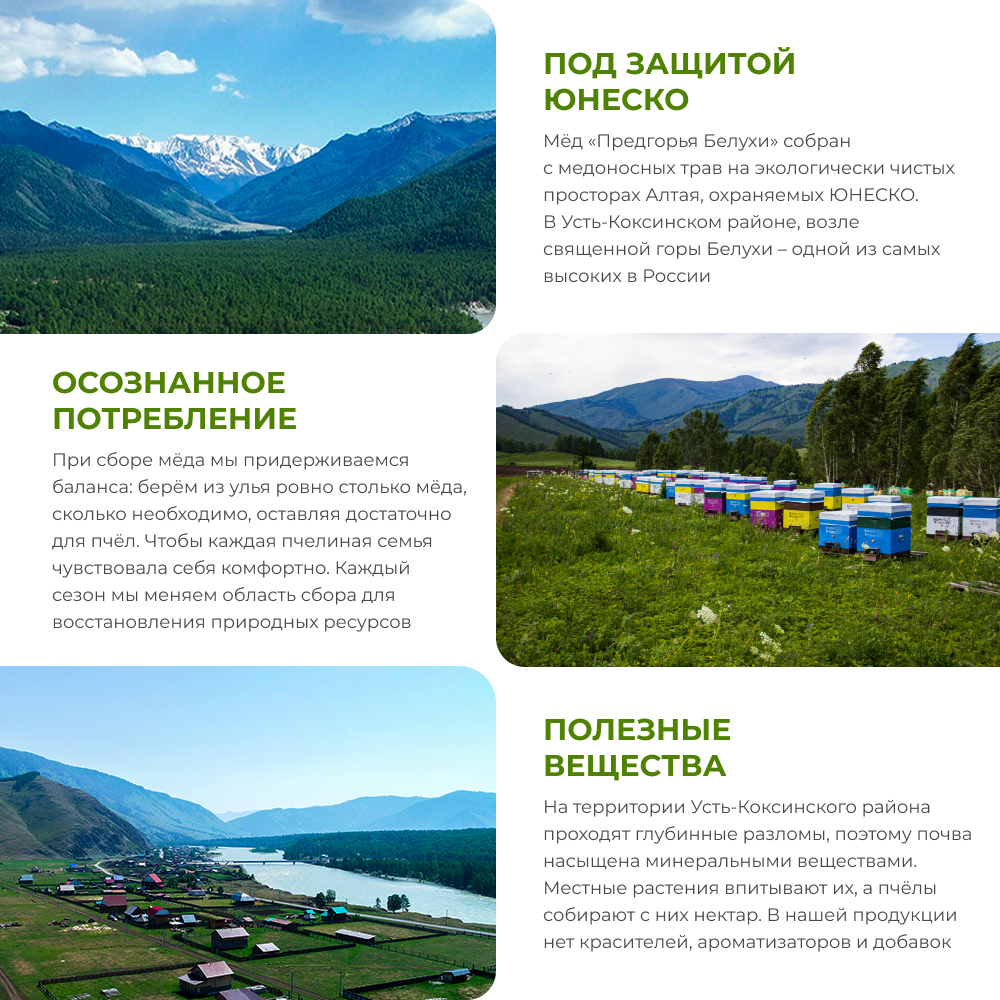 Мёд горный натуральный разнотравье с имбирём и лимоном, 240 г 