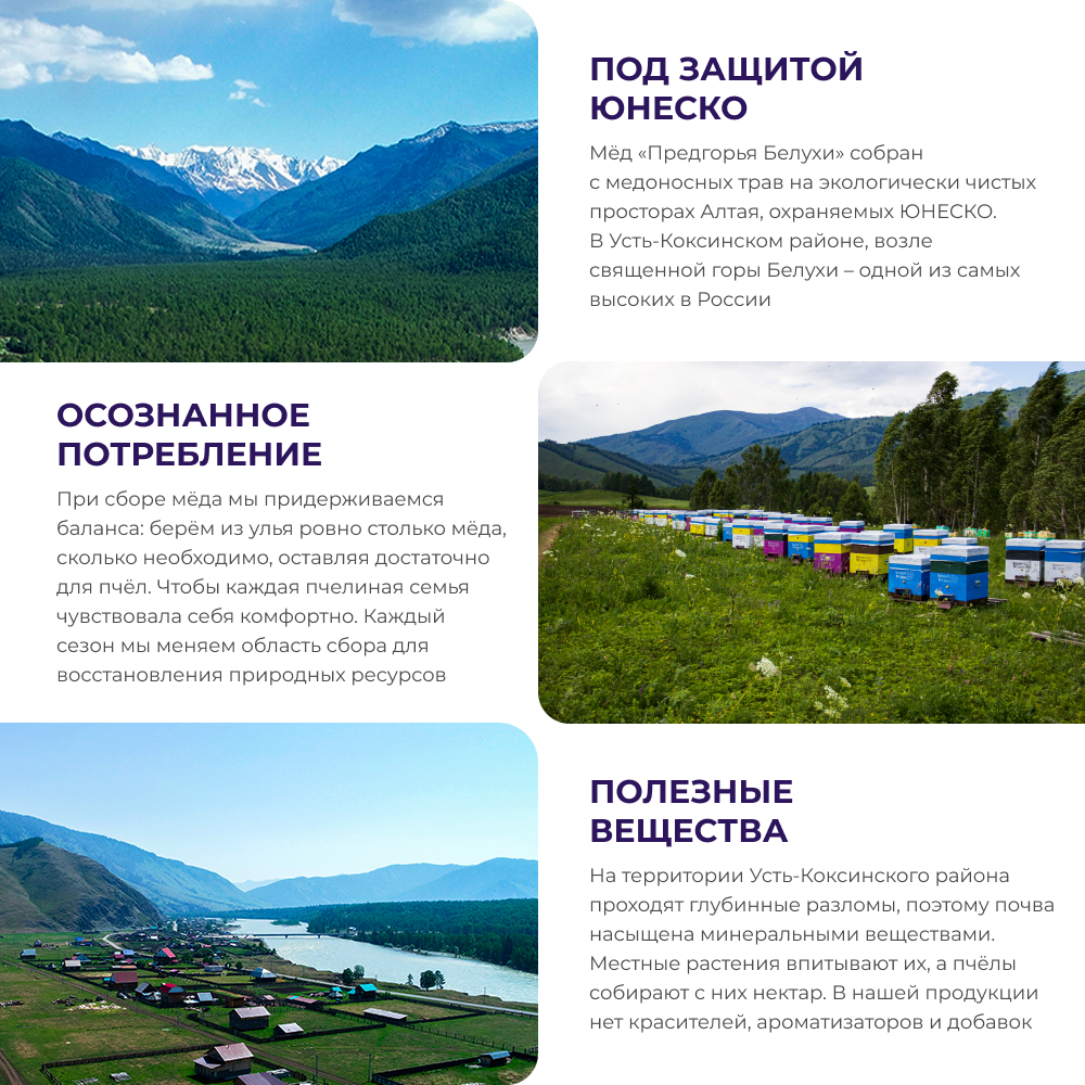 Мёд c чёрной смородиной, 240 г 