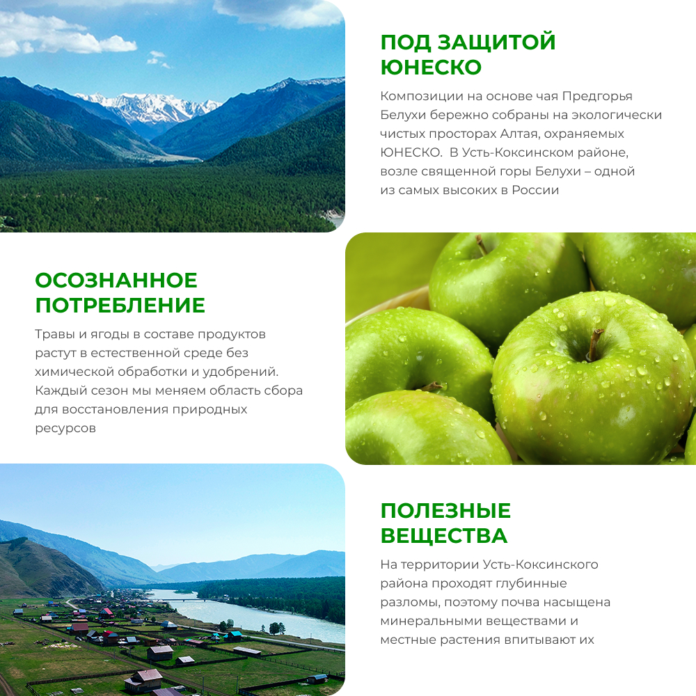 Напиток чайный Яблоко, бадан, шиповник, смородина, курильский, боярышник (пирамидки) 1,5 гр*18