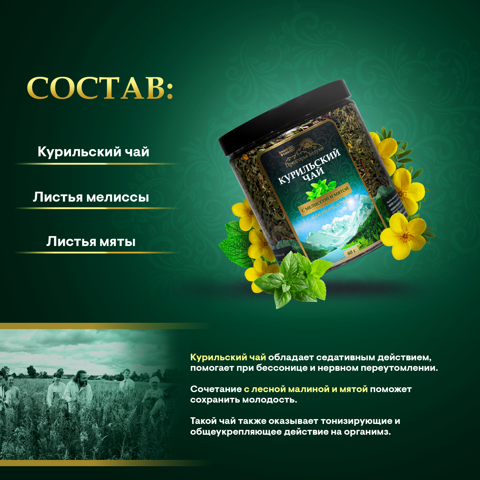 Курильский чай с мелиссой и мятой, 60 гр