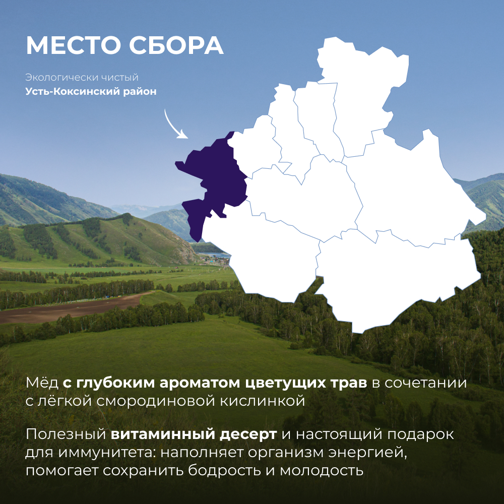 Мёд c чёрной смородиной, 240 г 