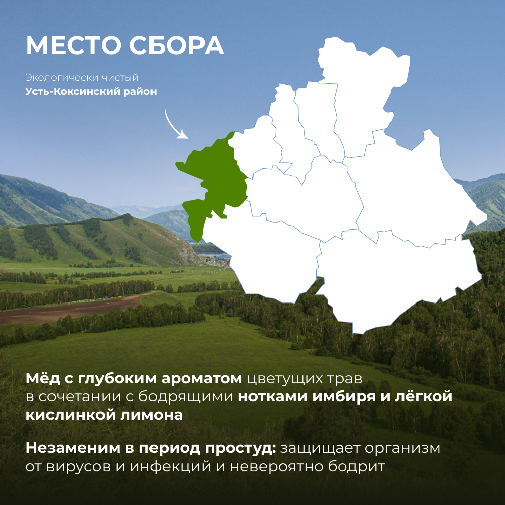 Мёд горный натуральный разнотравье с имбирём и лимоном, 240 г 