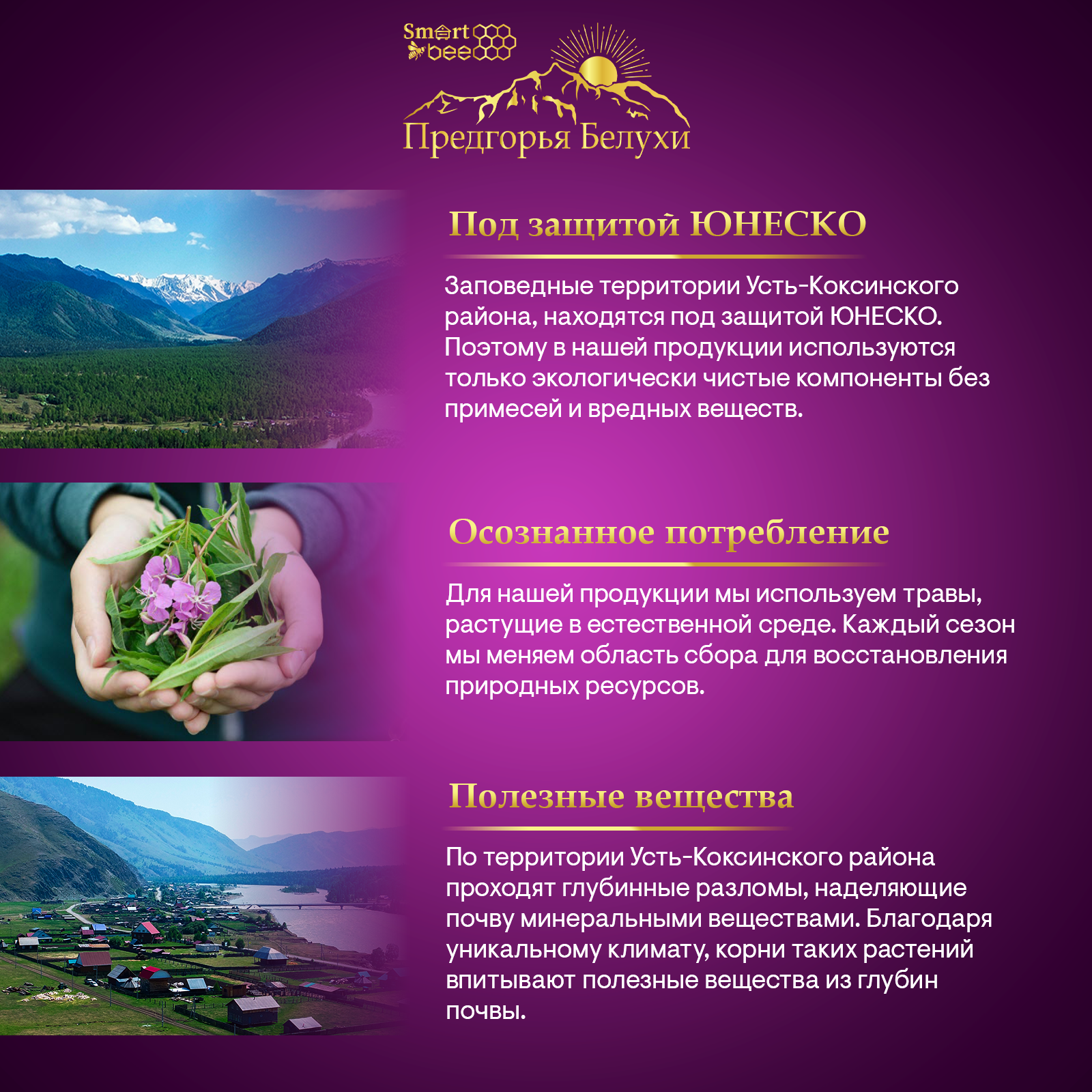 Курильский чай с лесной малиной и мятой, 60 г