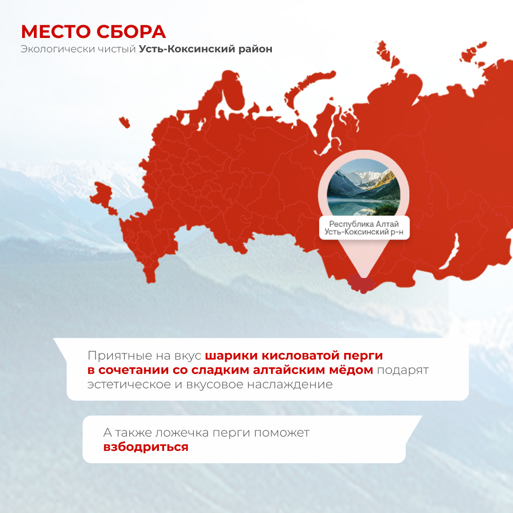 Перга с горным натуральным медом разнотравье Плюс Предгорья Белухи, 140 гр.